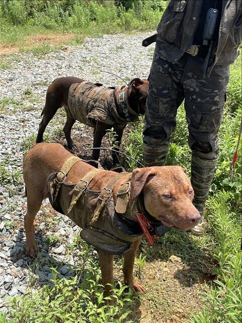 _20220625082946 _20220625082946